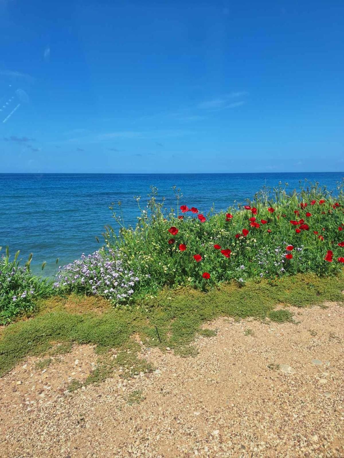 Ariadne Studio Kyparissia Exteriör bild